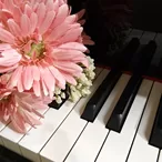 チケットコース